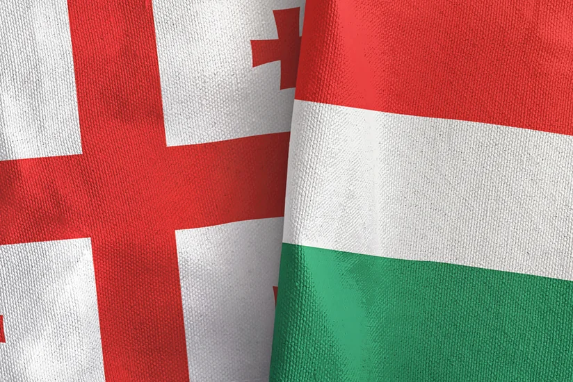 Gürcüstan və Macarıstan ticarət əlaqələrini artırmaq niyyətindədir