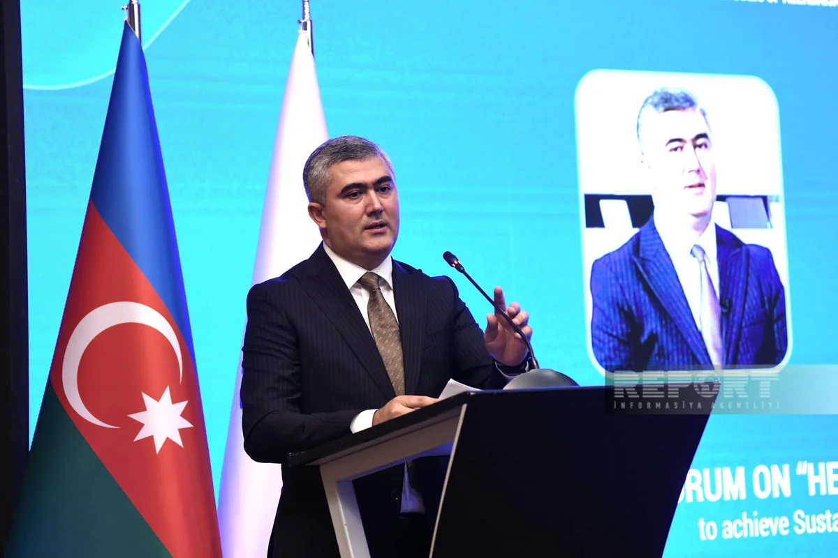 Ombudsman Aparatının rəsmisi: Metsamor AES-in fəaliyyəti region üçün ciddi təhlükədir