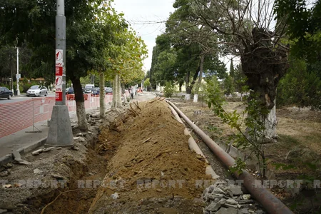 Gürcüstanda Nəriman Nərimanov adına park yenidən qurulur