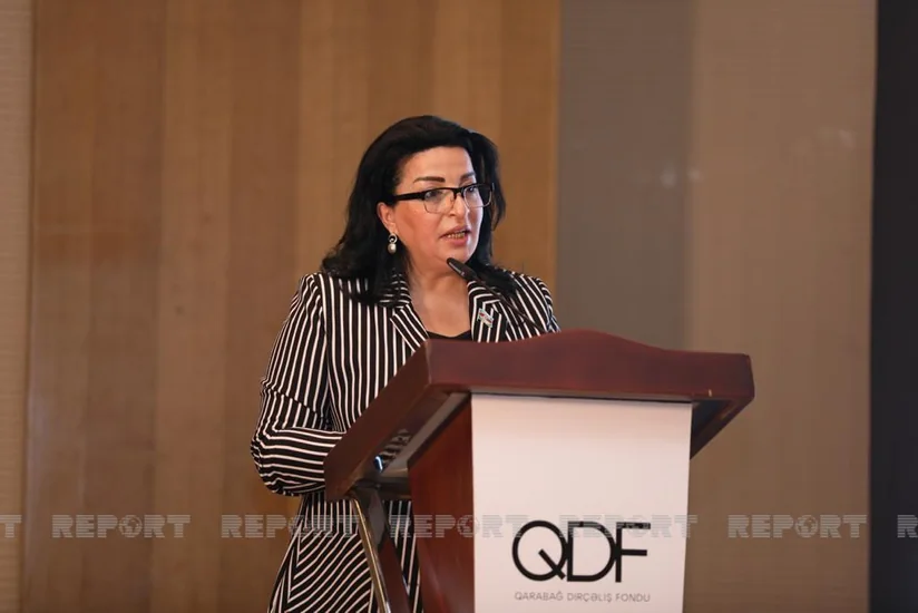 Deputat: “Bakı və regionlarda sahibsiz itlərlə bağlı ciddi problemlər var”