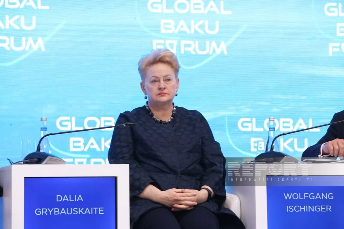 Ex-President of Lithuania: Leadership of western countries leads to proxy wars