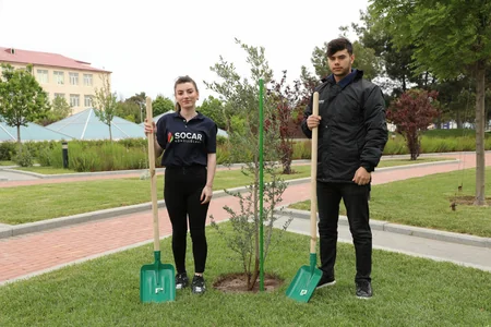 SOCAR “Heydər Əliyev İli” çərçivəsində ağacəkmə aksiyası təşkil edib