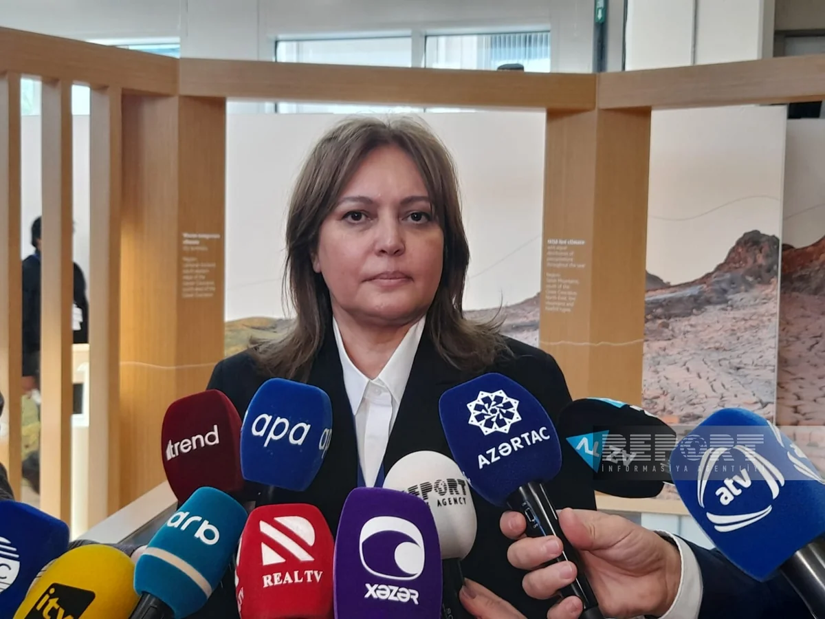 Umayra Taghiyeva: Azerbaijan's share in global emissions is only 0.15%