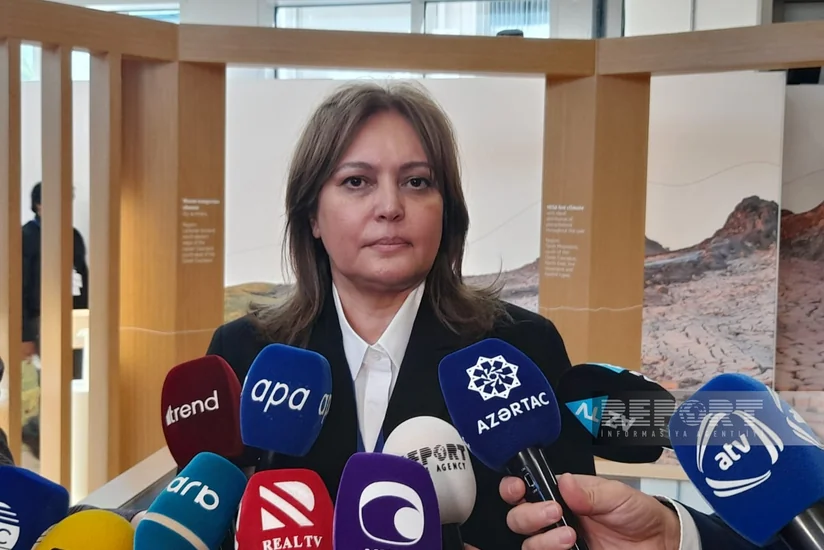 Umayra Tağıyeva: Azərbaycan iqlim dəyişmələrinə həssas olan ölkələrdəndir