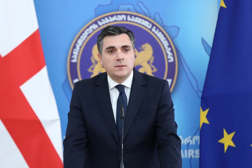 Глава МИД Грузии на этой неделе посетит Японию