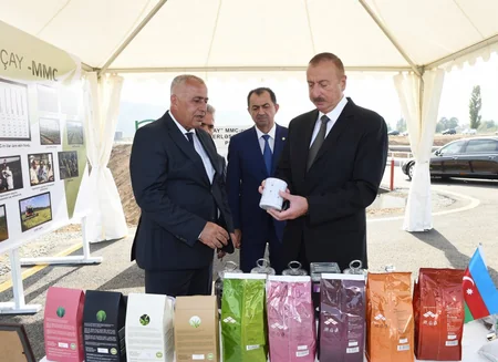 Prezident İlham Əliyev Lənkəranda “Astara Çay” MMC-nin çay plantasiyalarına baxıb
