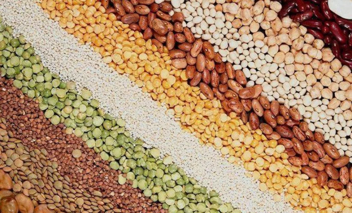 Azerbaijan increased spending on grain imports by 49%