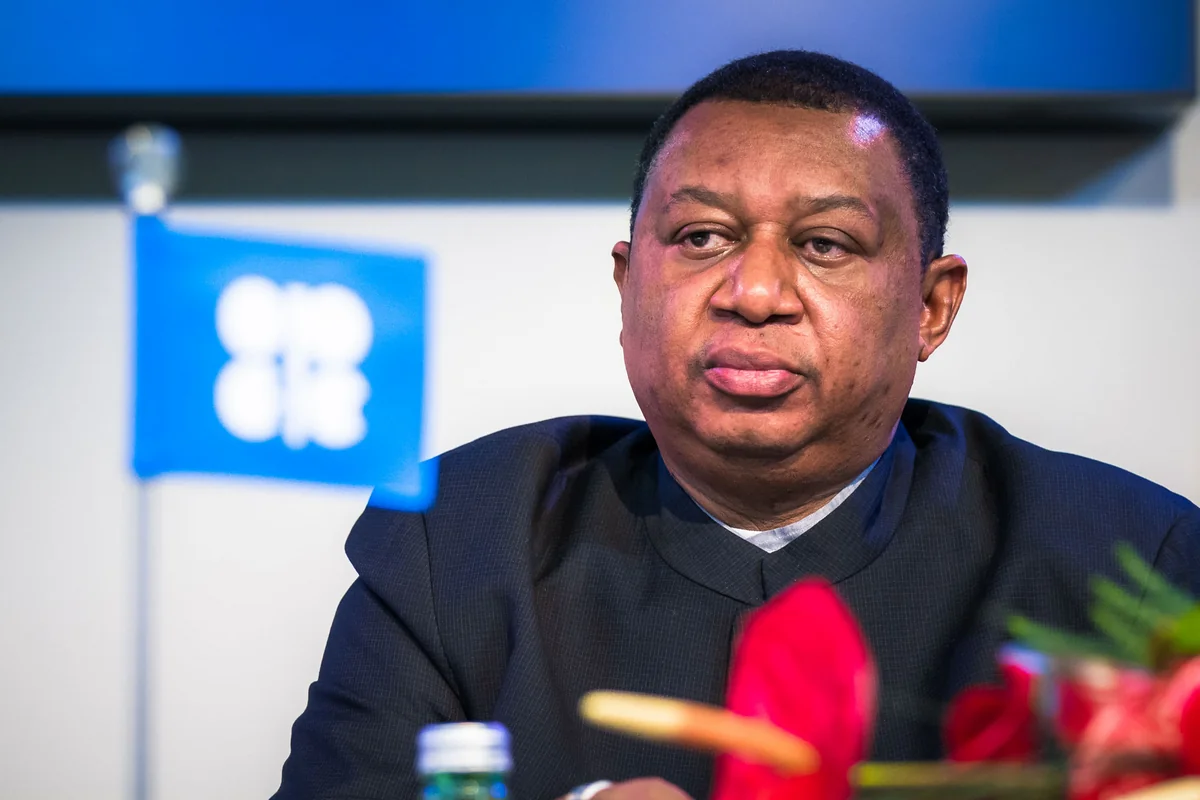 OPEC chief says gas crisis indicates errors in energy transition