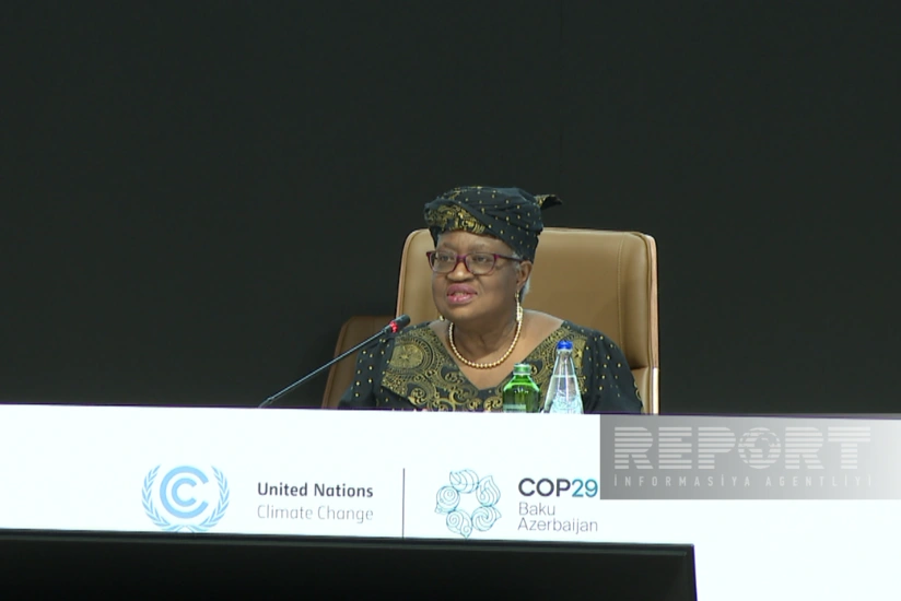 ÜTT: Ticarətsiz karbonsuzlaşdırma ilə bağlı məqsədə nail olmaq mümkün deyil