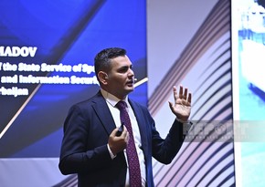 Number of fake domains similar to state domain names in Azerbaijan announced