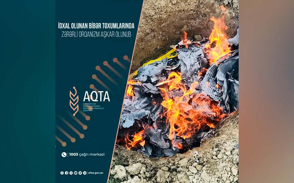 Azərbaycana gətirilən bibər toxumlarında zərərli orqanizm aşkarlanıb