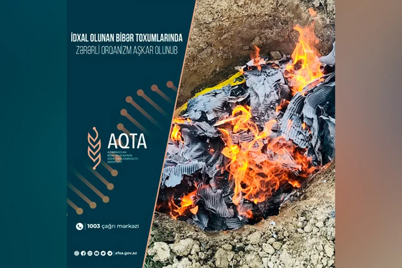 Azərbaycana gətirilən bibər toxumlarında zərərli orqanizm aşkarlanıb
