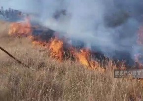 Forest fire breaks out in Aghdara district