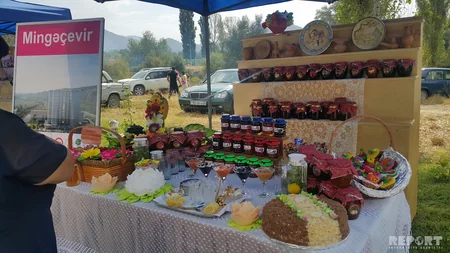 Gabala today hosts the V International Jam Festival