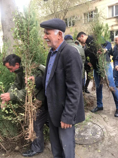 Bakıda yeni yaşıllıqların salınması məqsədilə vətəndaşlara pulsuz tinglər paylanılıb