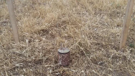 Cocuq Mərcanlıda 11 ədəd mina aşkarlanıb