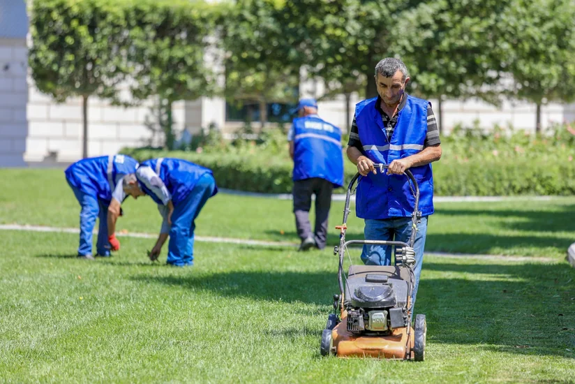 Son 3 ildə Azərbaycanda ictimai işlə təmin olunanların sayı 49 dəfə artıb