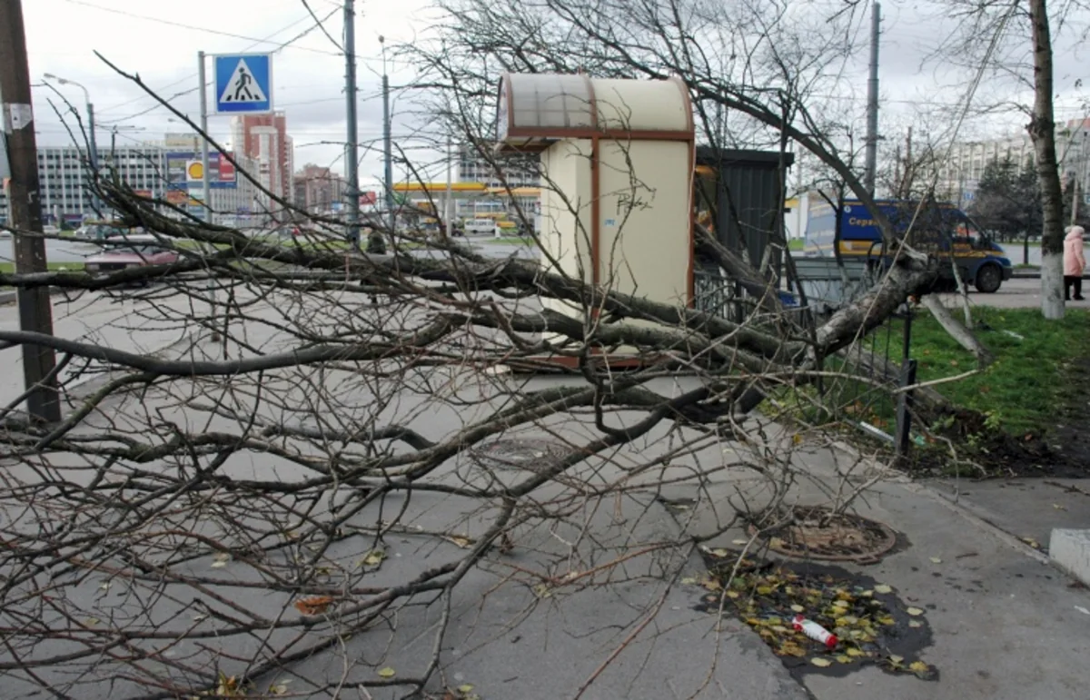 В Петербурге из-за сильного ветра сдуло рынок, есть пострадавшие