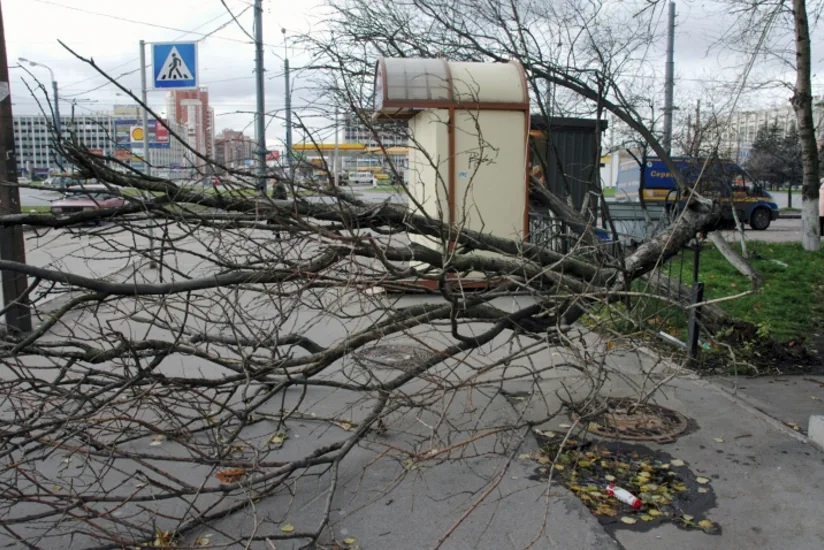 В Петербурге из-за сильного ветра сдуло рынок, есть пострадавшие
