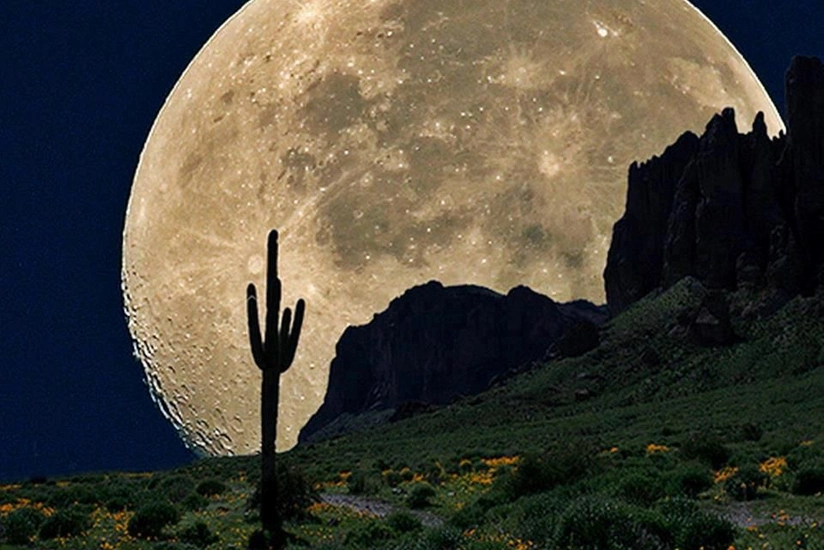 NASA chief: People will go to moon to live, learn