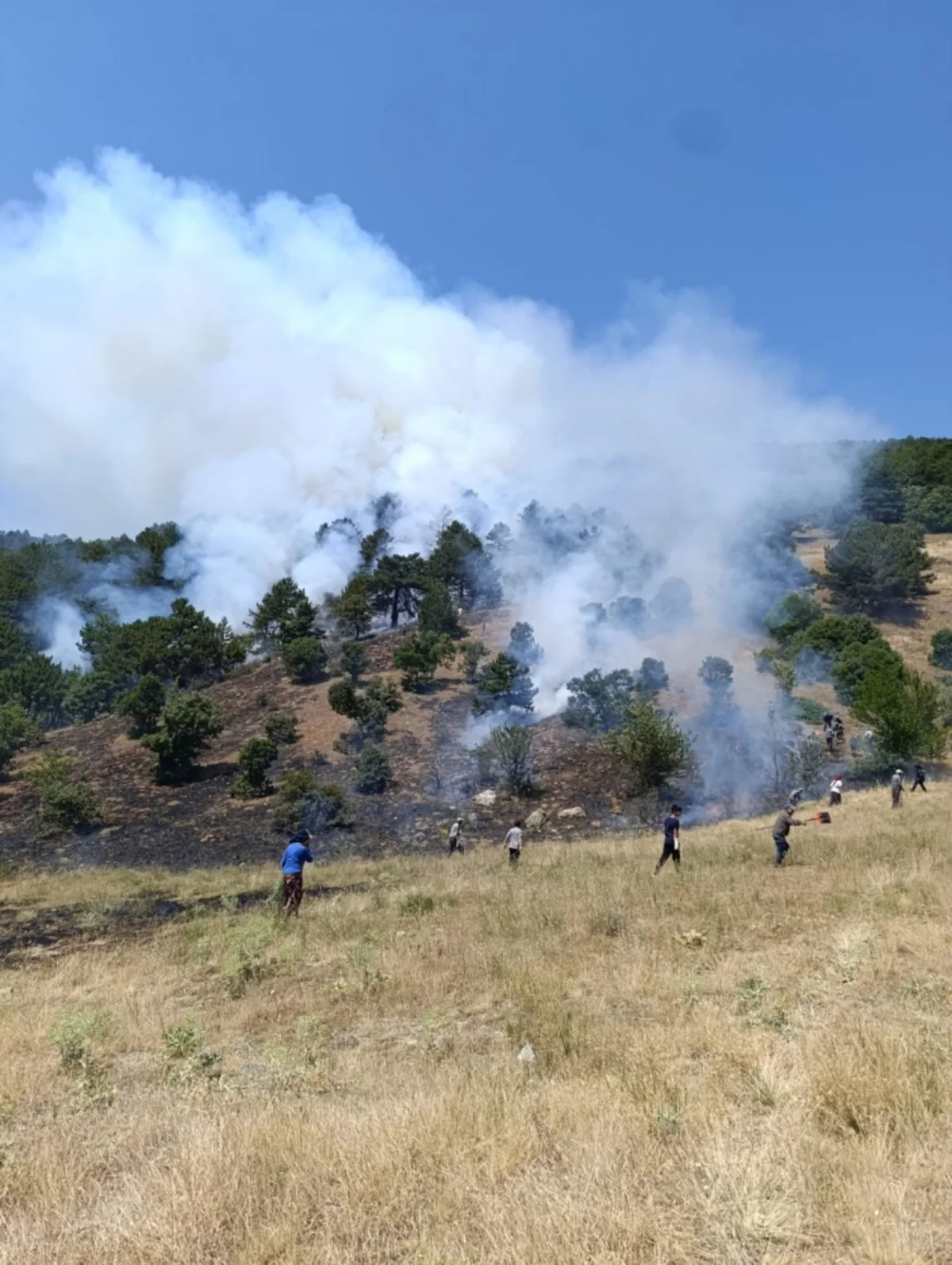 Forest fire erupts in Türkiye’s Konya Province