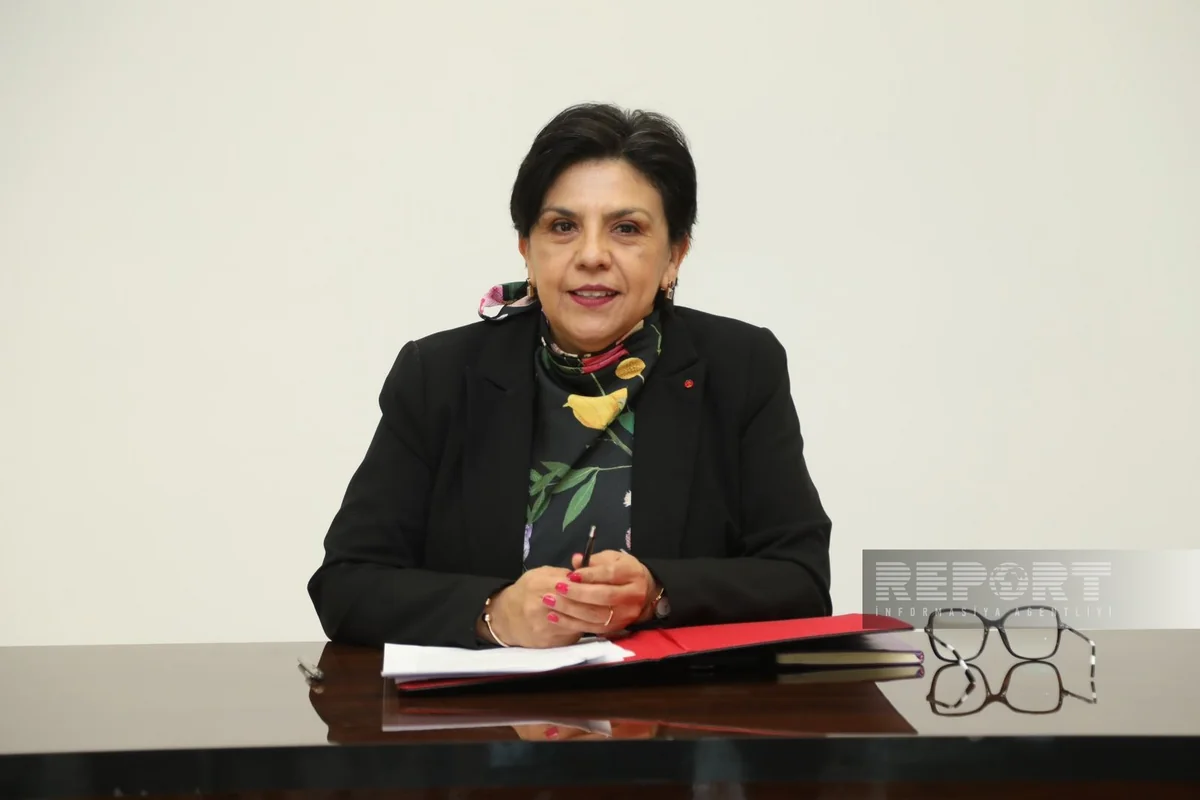 Envoy: Azerbaijan-Mexico economic relations unaffected by pandemic