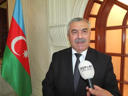 Gürcü ekspertlər: Gürcüstan parlamentinin qəbul etdiyi qətnamə regionda sülhün və təhlükəsizliyin təminatında mühüm rol oynayacaq - FOTO