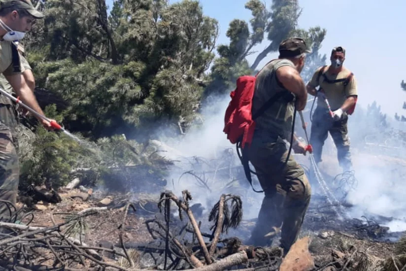Azərbaycan yanğınsöndürənləri Türkiyədə yanğınlarla mübarizəni davam etdirir