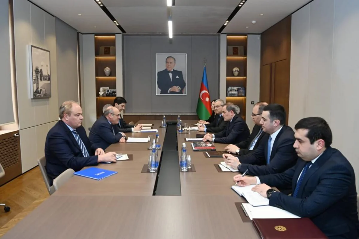 Azərbaycanın XİN başçısı Beynəlxalq Miqrasiya Təşkilatının Baş direktoru ilə görüşüb
