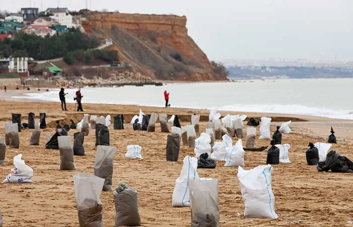 More than thirty died dolphins found after tankers shipwreck in Kerch Strait