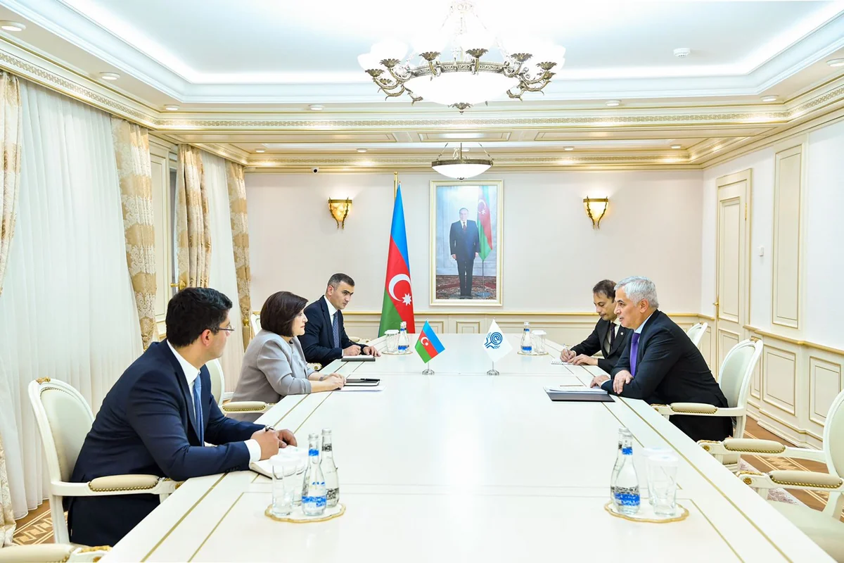 Сахиба Гафарова встретилась с генсеком ОЭС