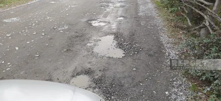 Oğuzun Mollalı kəndinin yol problemi - rəsmi qurum həll olunacağına vəd verir