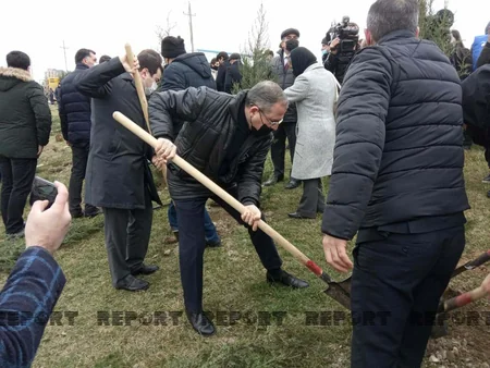 Vətən müharibəsindəki qələbənin 100 günü münasibətilə ağac əkildi