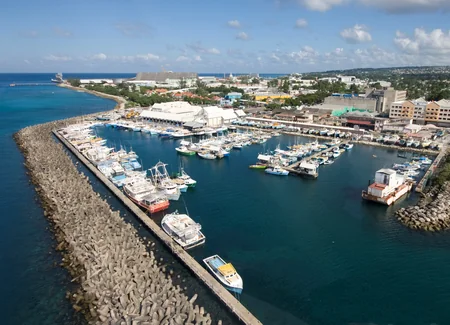 Barbados ditches Britain's Queen Elizabeth, becomes republic
