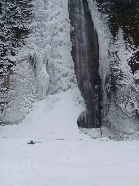Azərbaycan parklarının qış görüntüləri - FOTOREPORTAJ