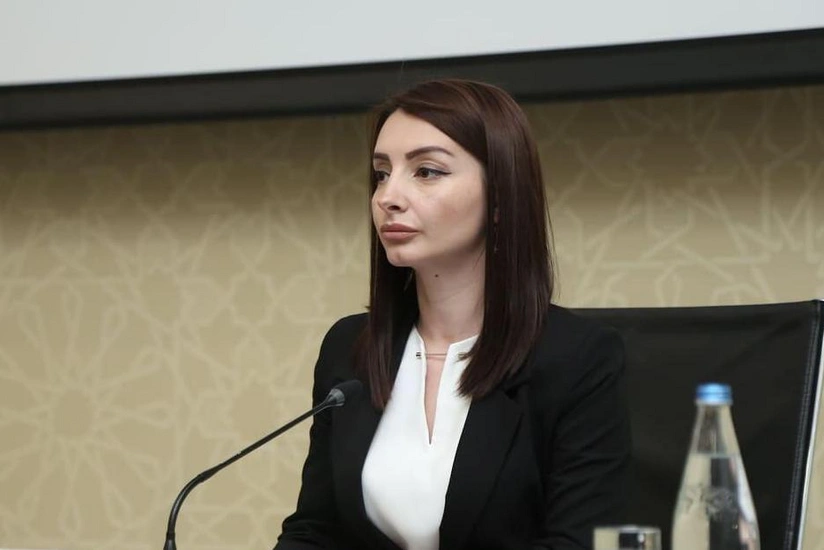 Abdullayeva: Co-chairs should call on Armenia to refrain from provocations