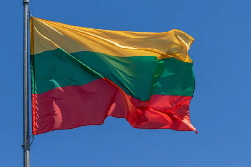 Литва рассчитывает на размещение систем ПВО союзников до встречи в верхах