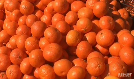 Sumqayıtda kənd təsərrüfatı məhsullarının satış yarmarkası təşkil olunub