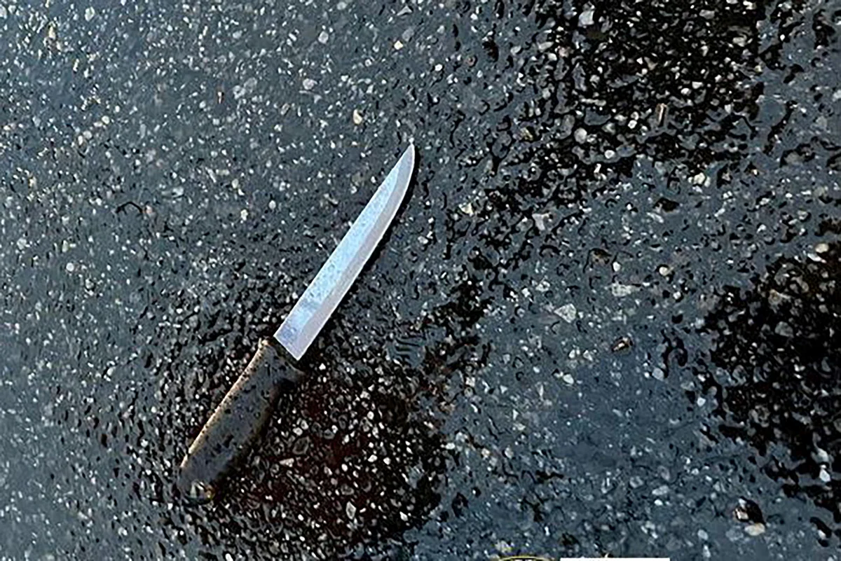 Two dead, 21 injured in hospital knife attack in China