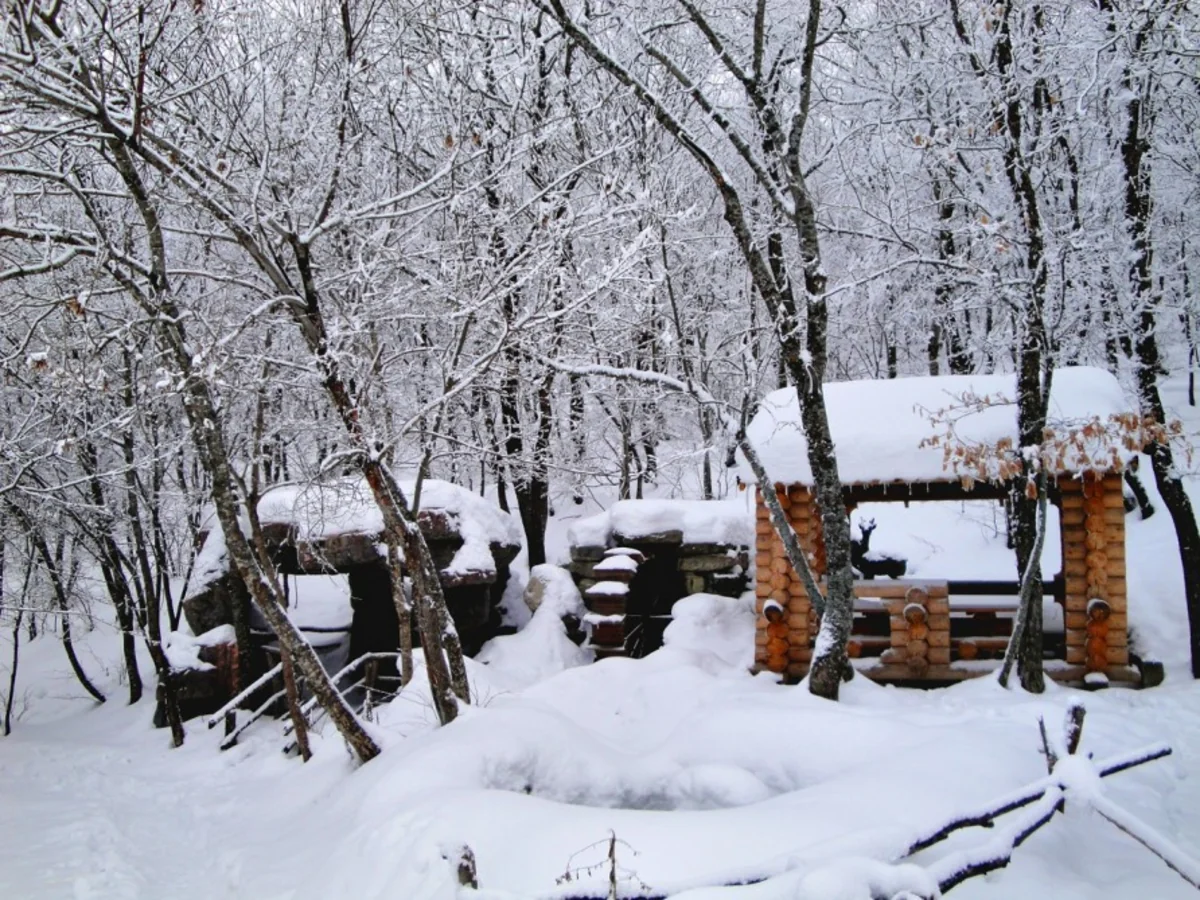  Altıağaca qar yağıb - FAKTİKİ HAVA