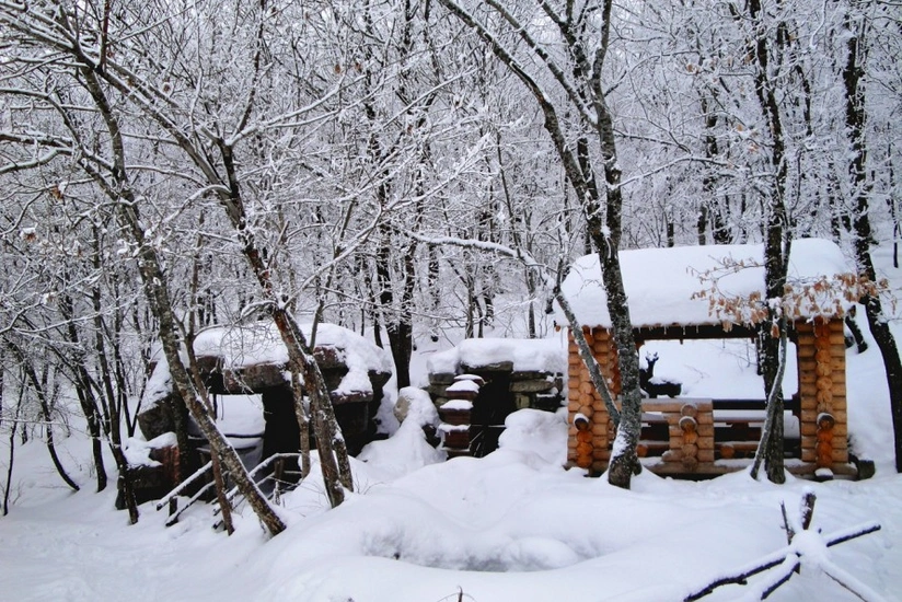  Altıağaca qar yağıb - FAKTİKİ HAVA