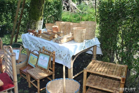 Çörəyi bambukdan çıxır - VİDEOREPORTAJ