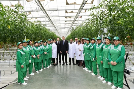 Prezident İlham Əliyev Zirə qəsəbəsində “BAKU AGROPARK”da görülən işlərlə tanış olub