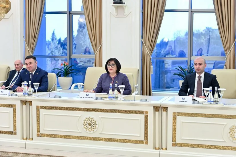 Milli Məclisin sədri: Fransa Cənubi Qafqazda sülhün əldə olunmasını istəmir