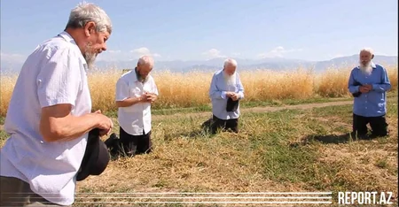 Интересная традиция в единственном колхозе Азербайджана - ВИДЕО