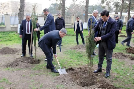 Cəlilabadda ağacəkmə aksiyası keçirilib