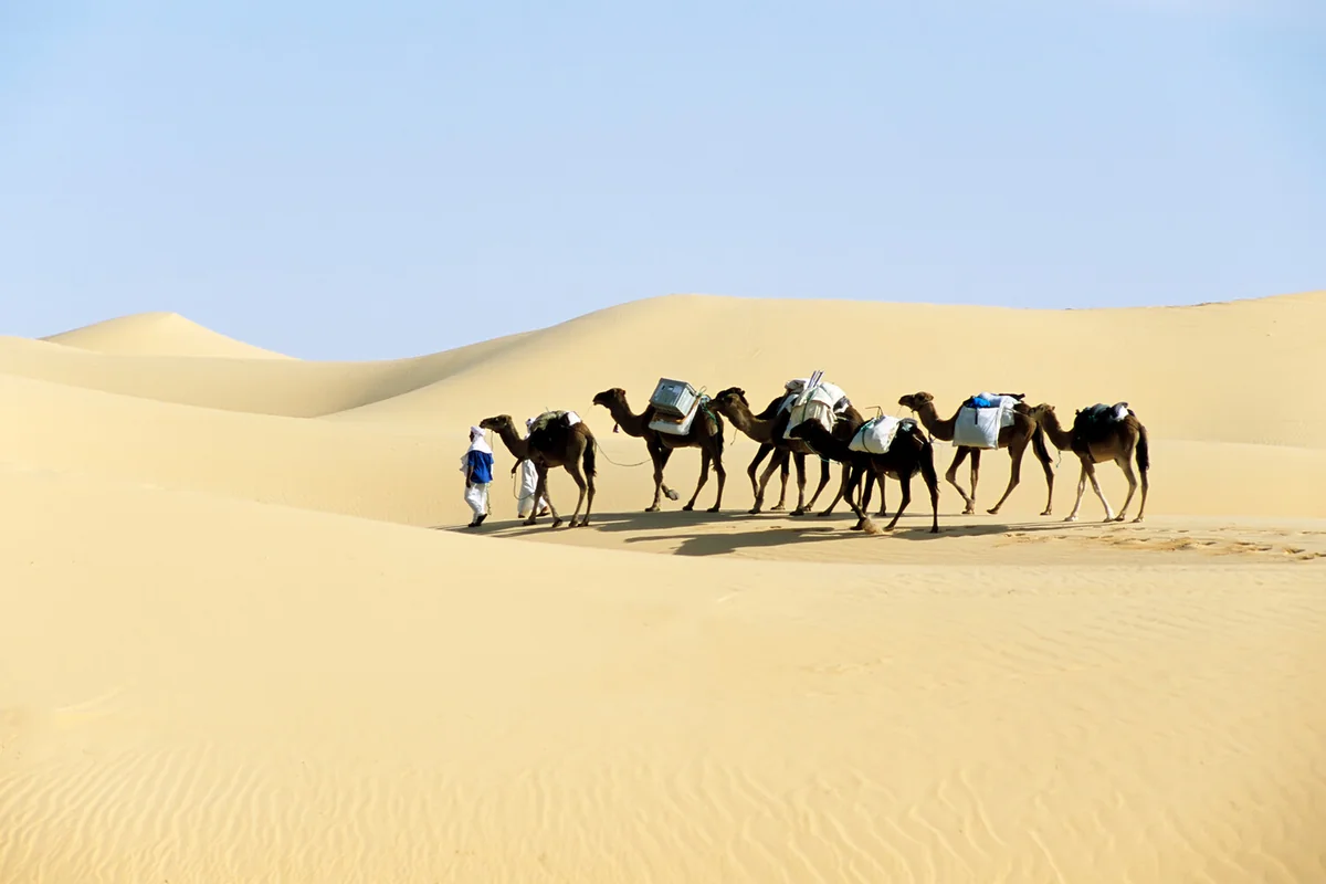 İraqda kəskin su çatışmazlığı yaranıb