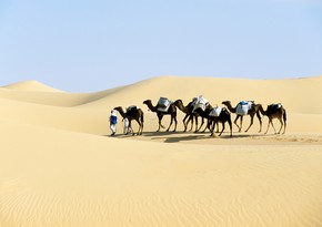 İraqda kəskin su çatışmazlığı yaranıb