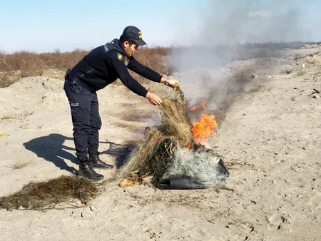 İmişlidə brakonyerliyə qarşı reyd keçirilib