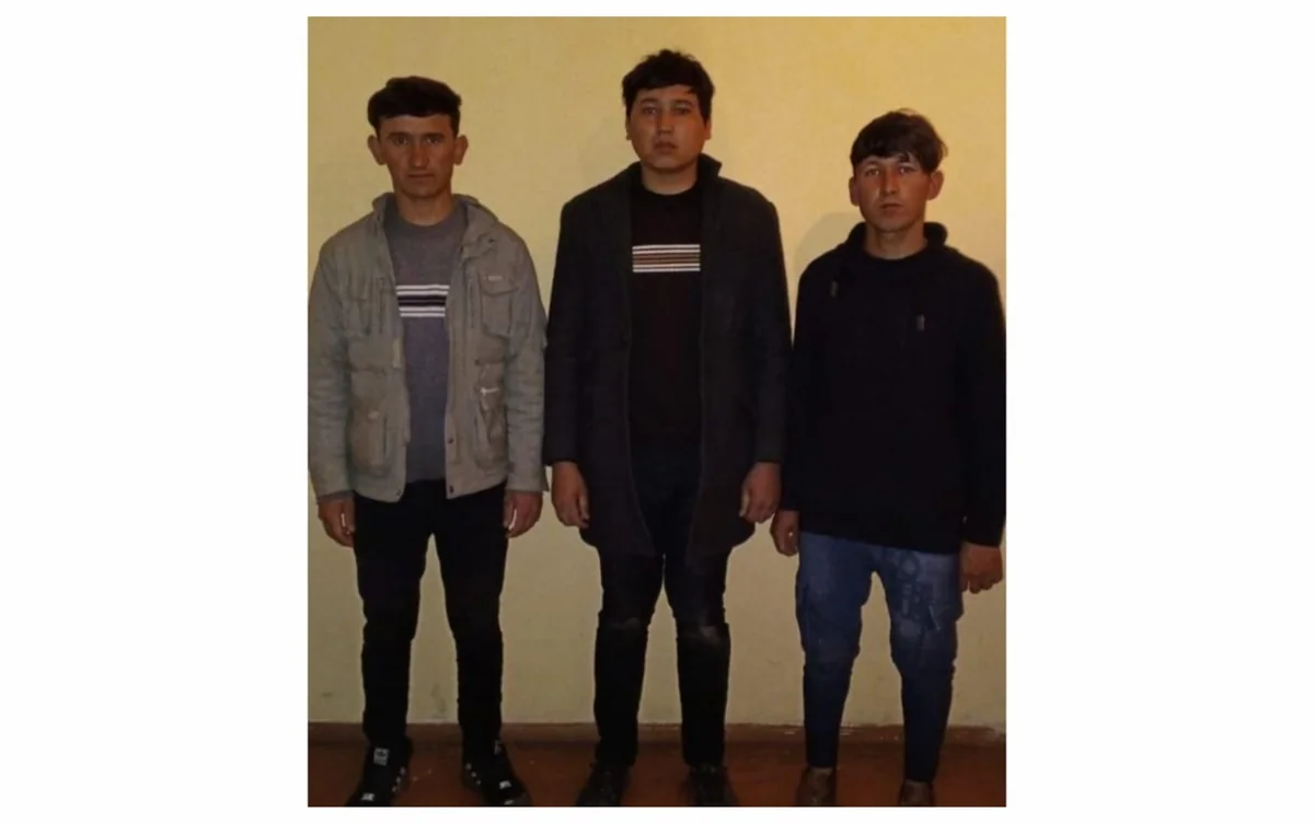 Azərbaycan sərhədini pozmağa cəhd göstərən Əfqanıstan vətəndaşları saxlanılıb